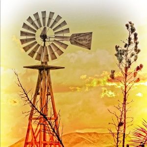 Meet your Posher, Susie